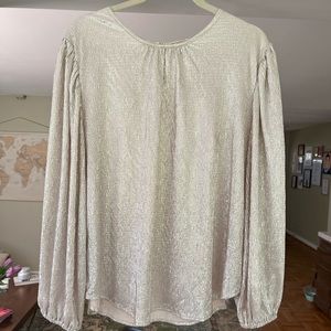 Sparkly Ann Taylor top